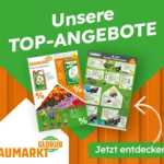 Globus Baumarkt App Gewinnspiel Auto gewinnen